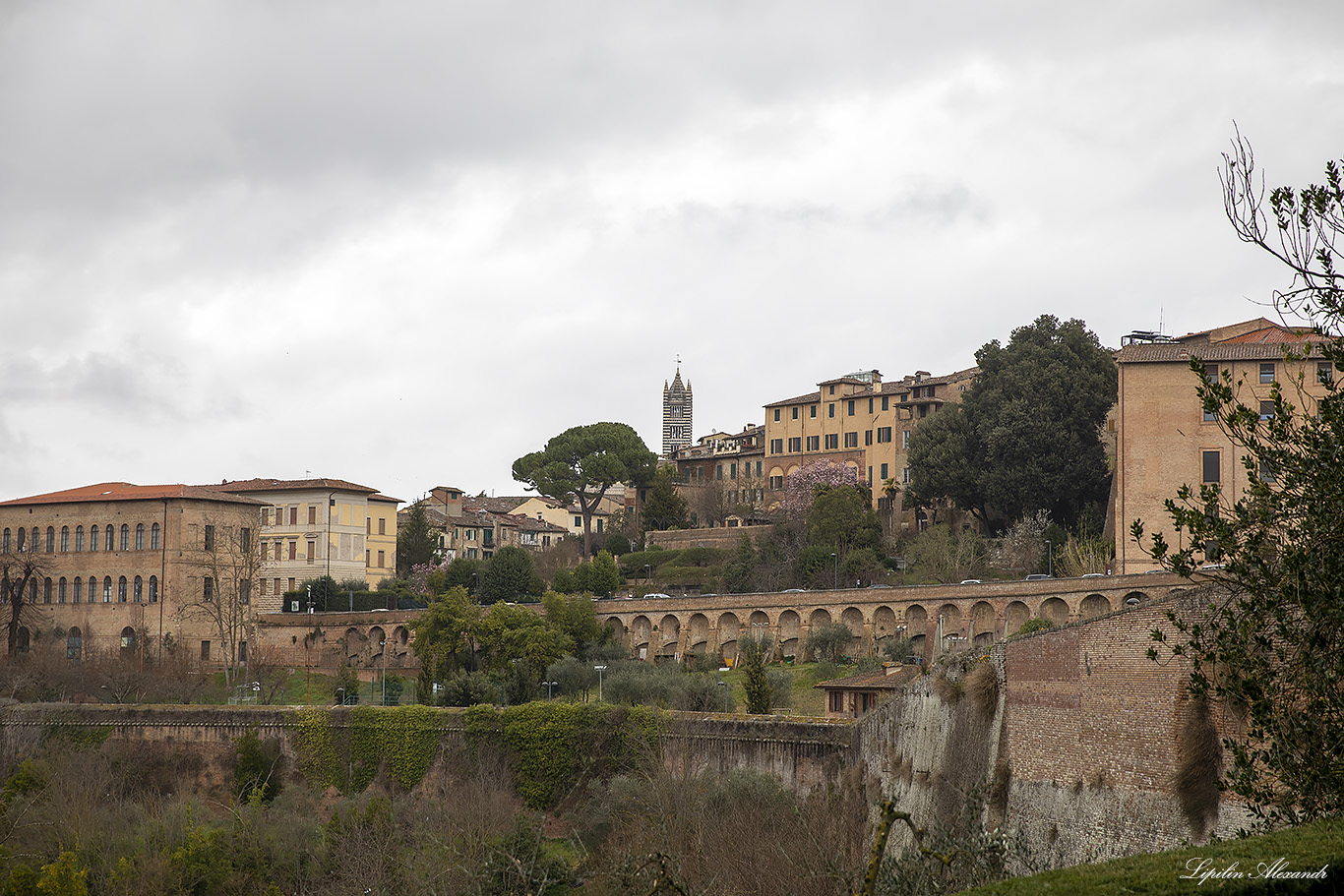 Сиена (Siena) - Италия (Italy)