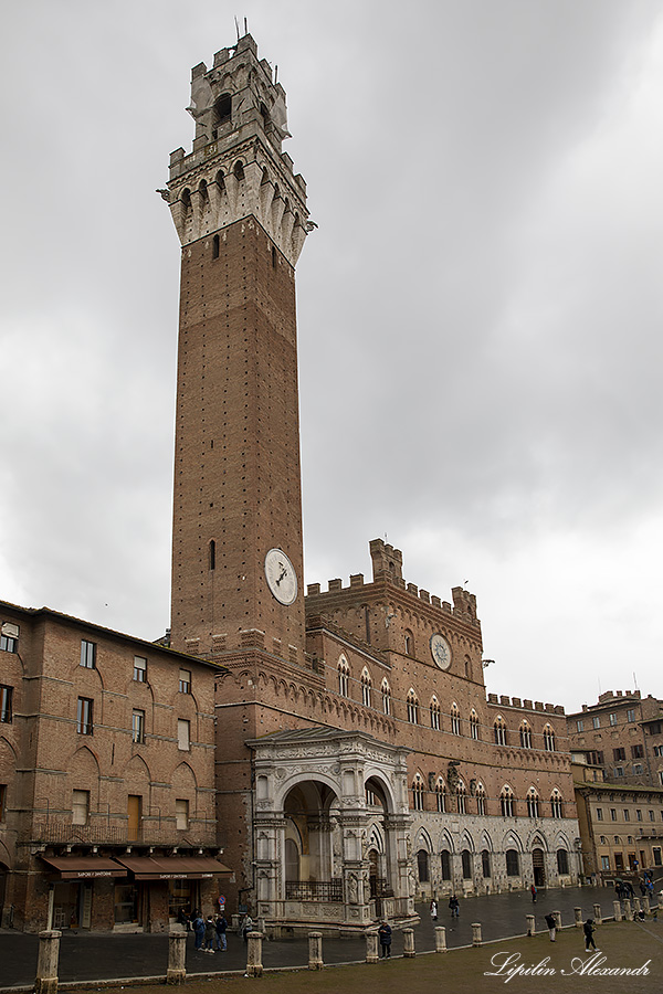 Сиена (Siena) - Италия (Italy)