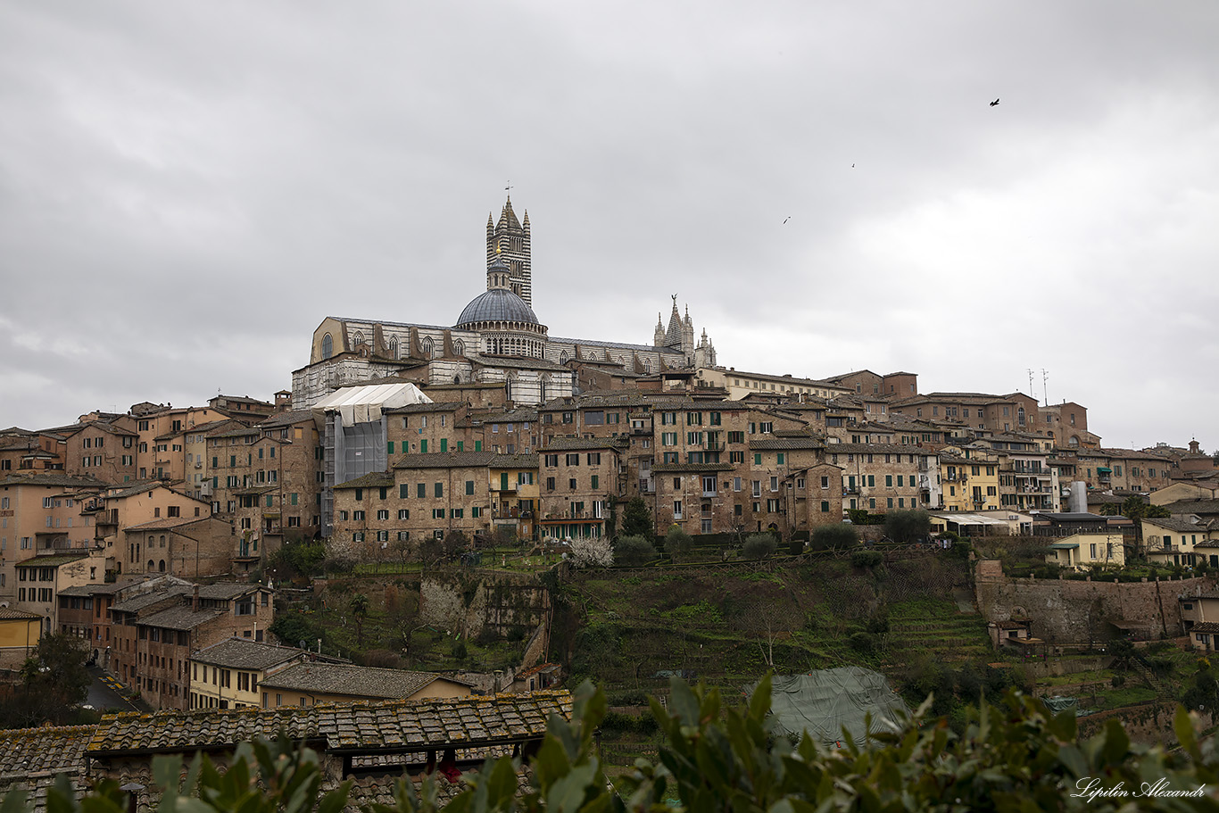 Сиена (Siena) - Италия (Italy)