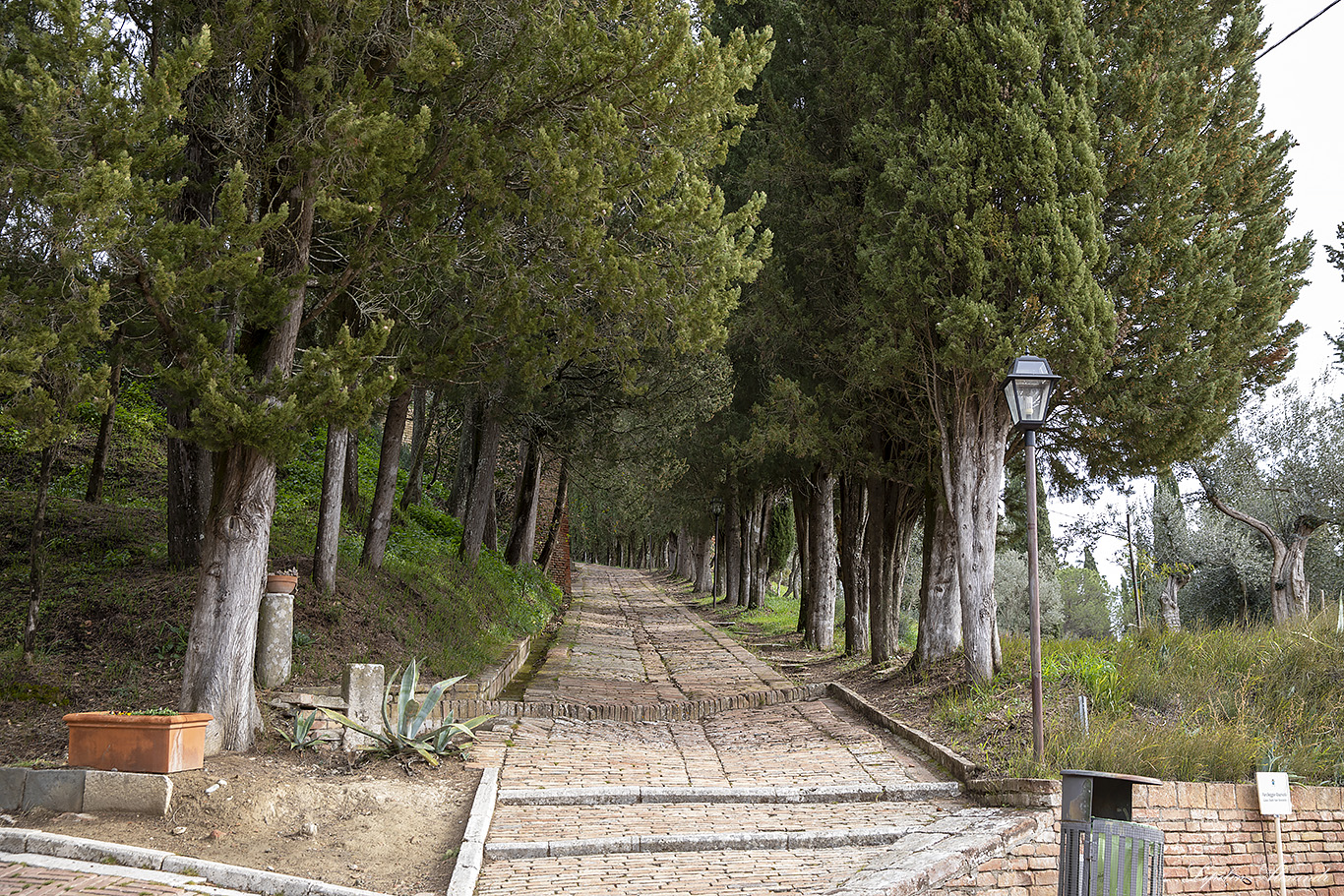 Монастырь Монте-Оливето-Маджоре (Abbazia territoriale di Monte Oliveto Maggiore) 