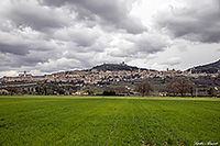  (Assisi)