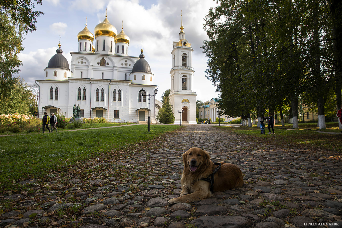 Дмитров