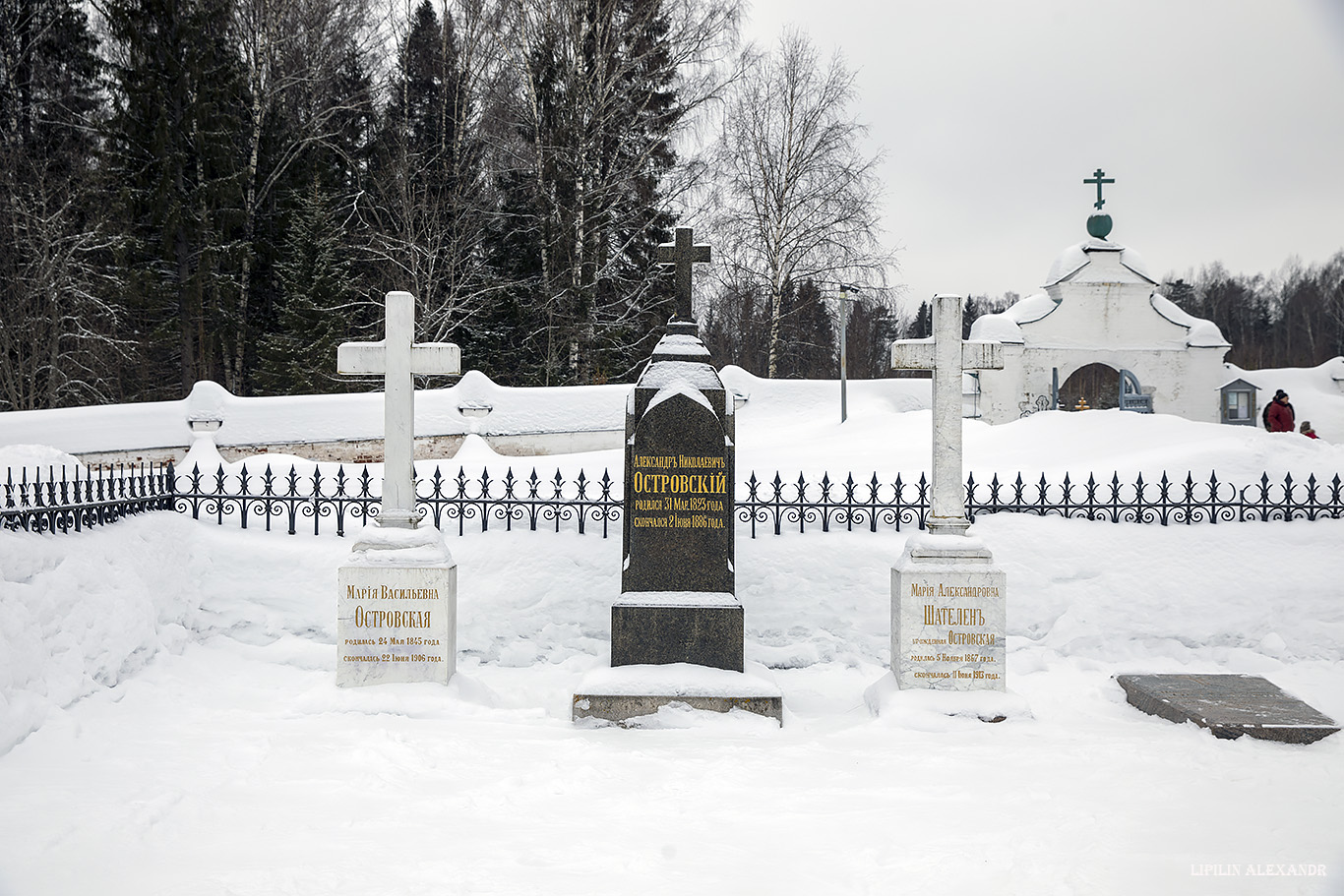 Мемориальный и природный музей-заповедник А. Н. Островского 