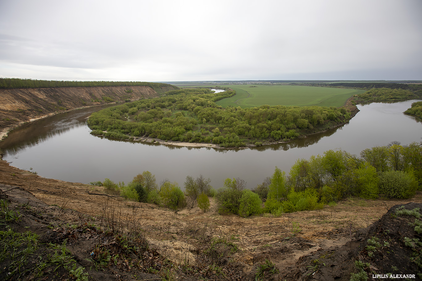 Урочище Кривоборье