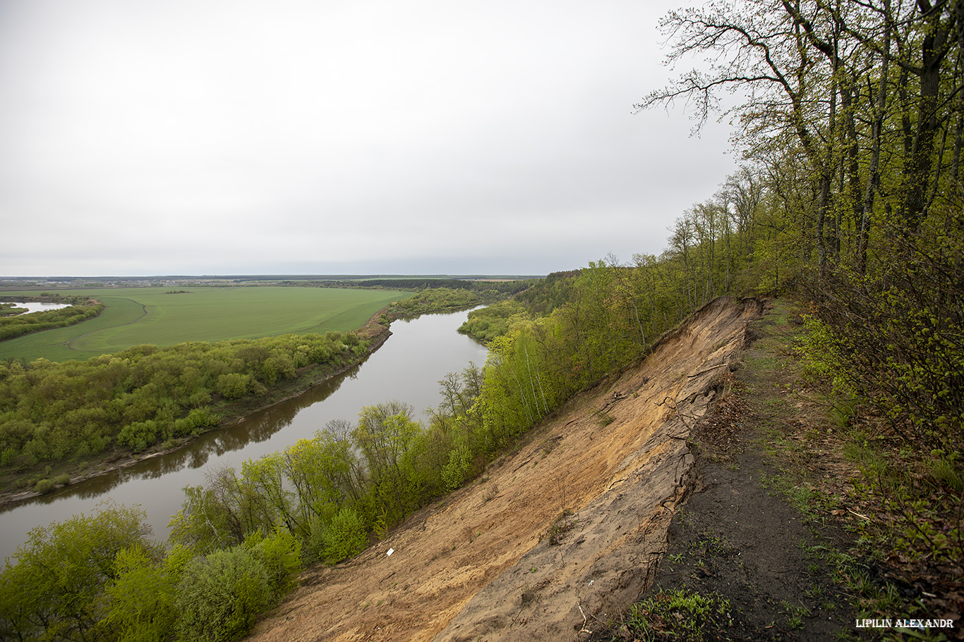 Урочище Кривоборье 