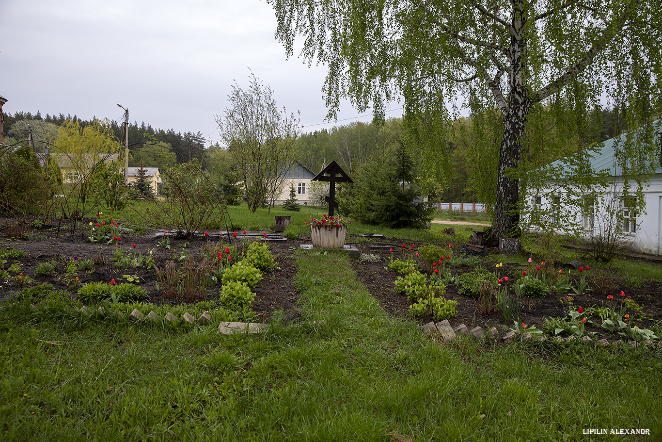 Богородице-Тихоновский Тюнинский монастырь 