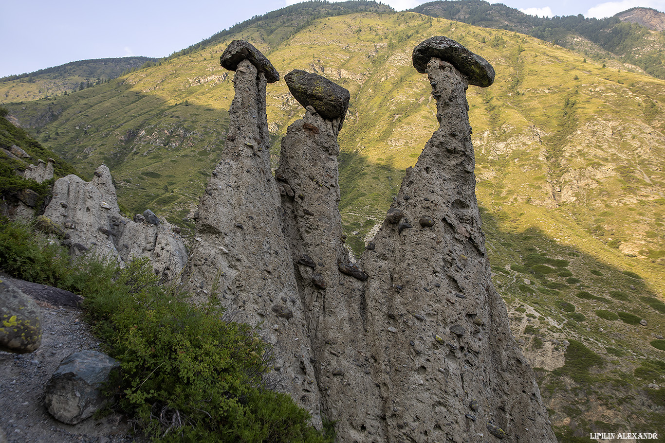 Урочище Аккурум 