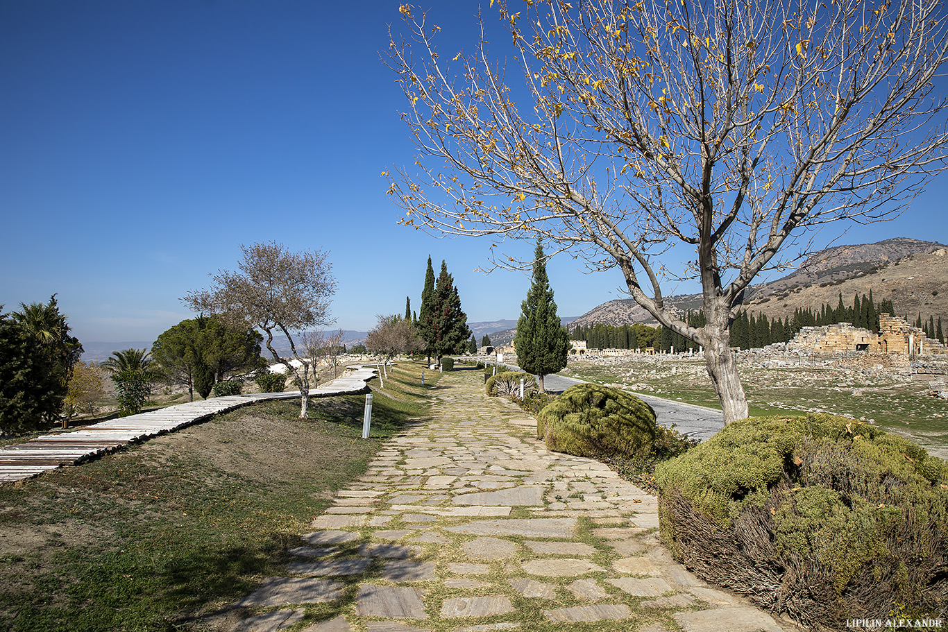 Археологический музей Иераполиса (Hierapolis Arkeoloji Müzesi)