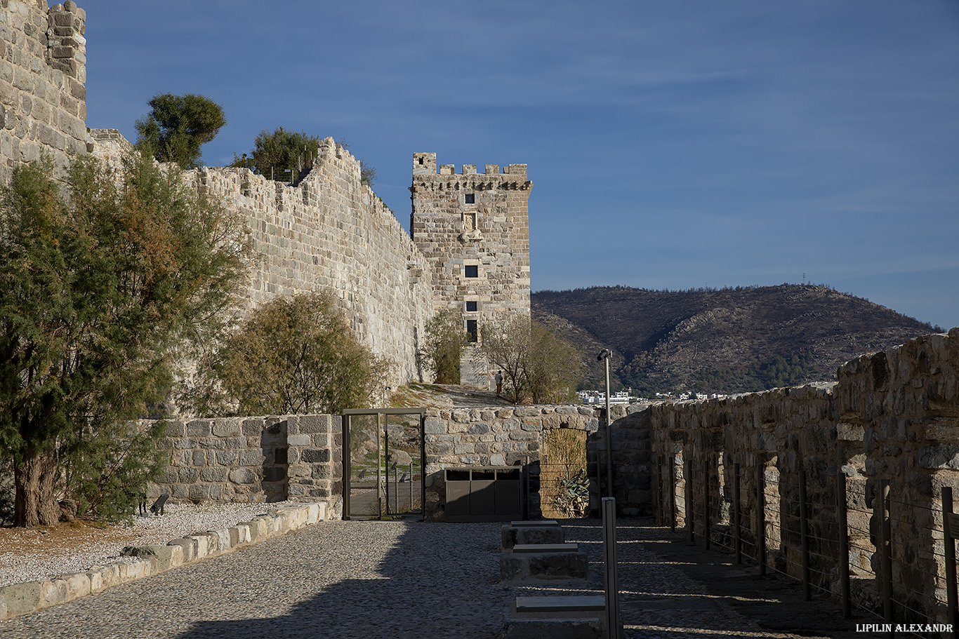 Крепость Бодрум (Bodrum Castle)