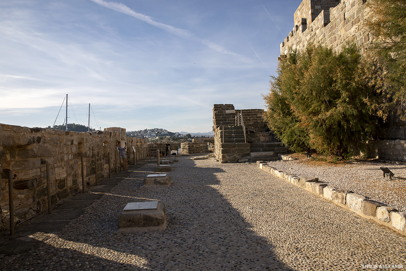 Крепость Бодрум (Bodrum Castle)