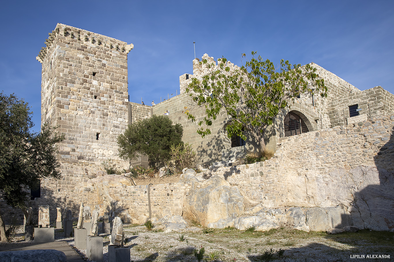 Крепость Бодрум (Bodrum Castle)