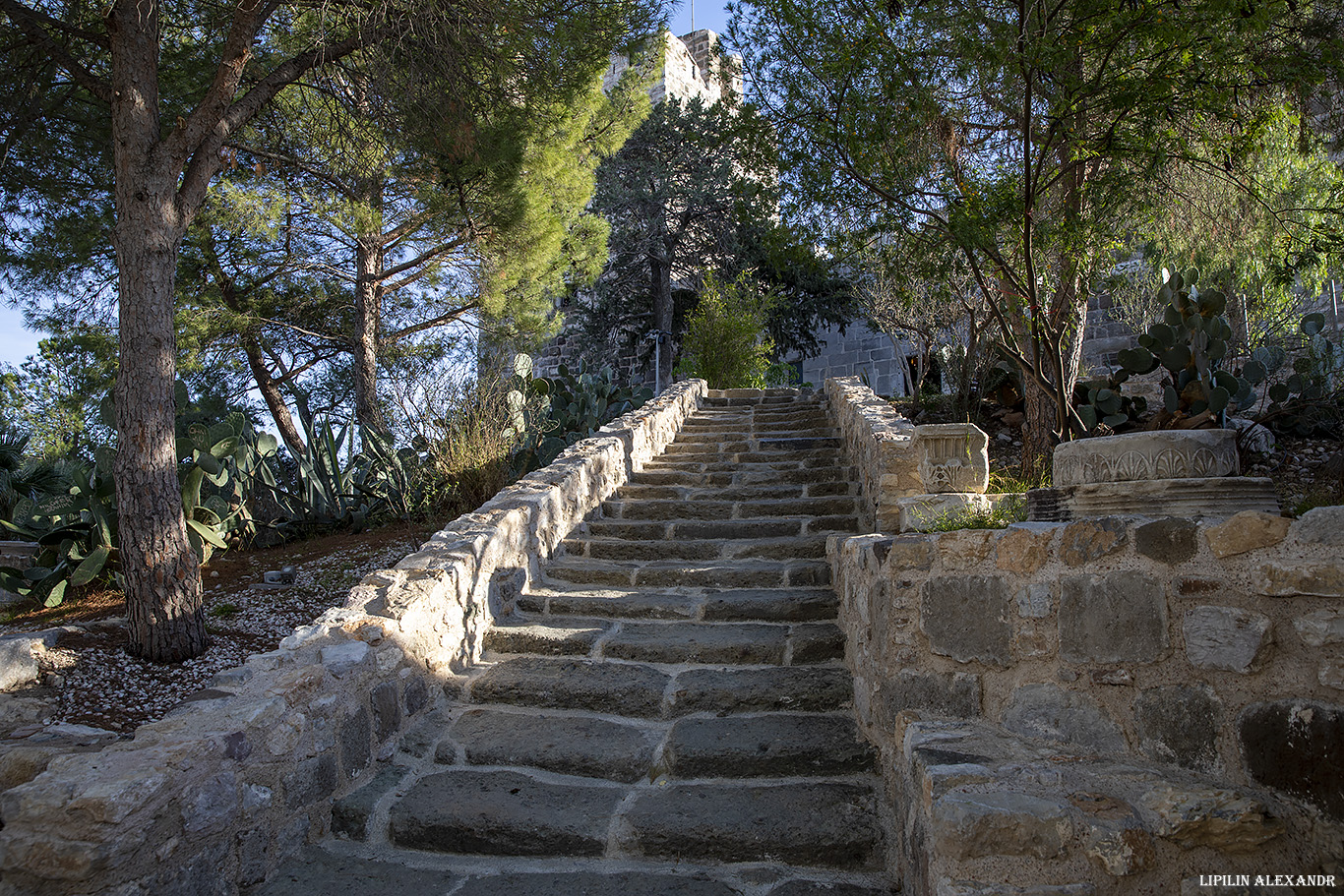 Крепость Бодрум (Bodrum Castle)