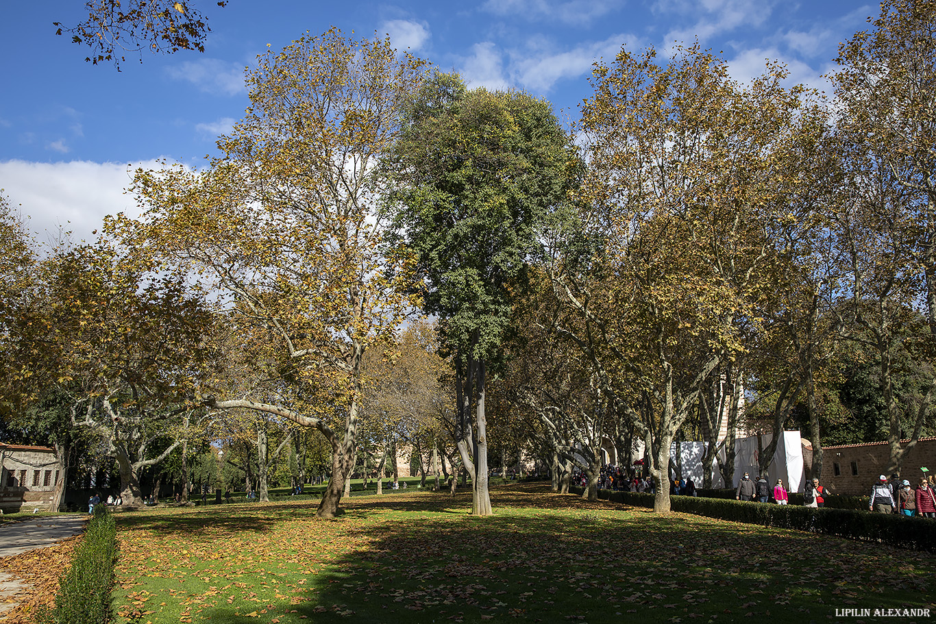 Дворец Топкапы (Topkapı Palace)