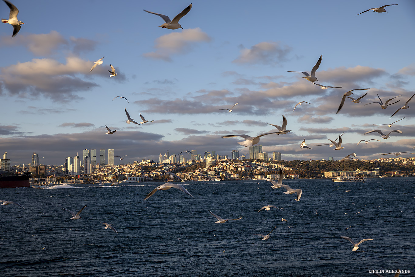 Стамбул (İstanbul) - Турция (Turkey)