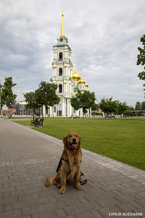 Тульский кремль