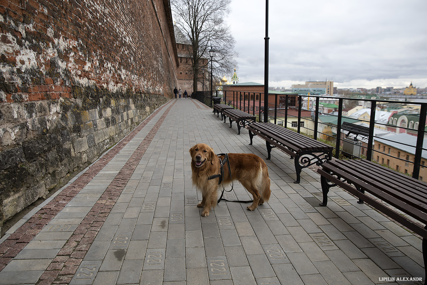 Нижегородский кремль