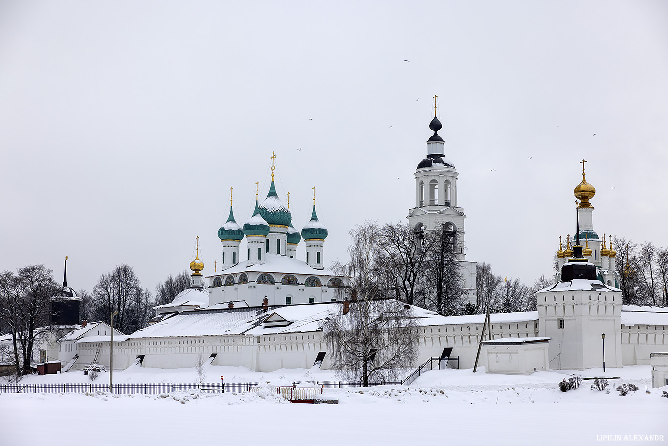 Свято-Введенский Толгский женский монастырь