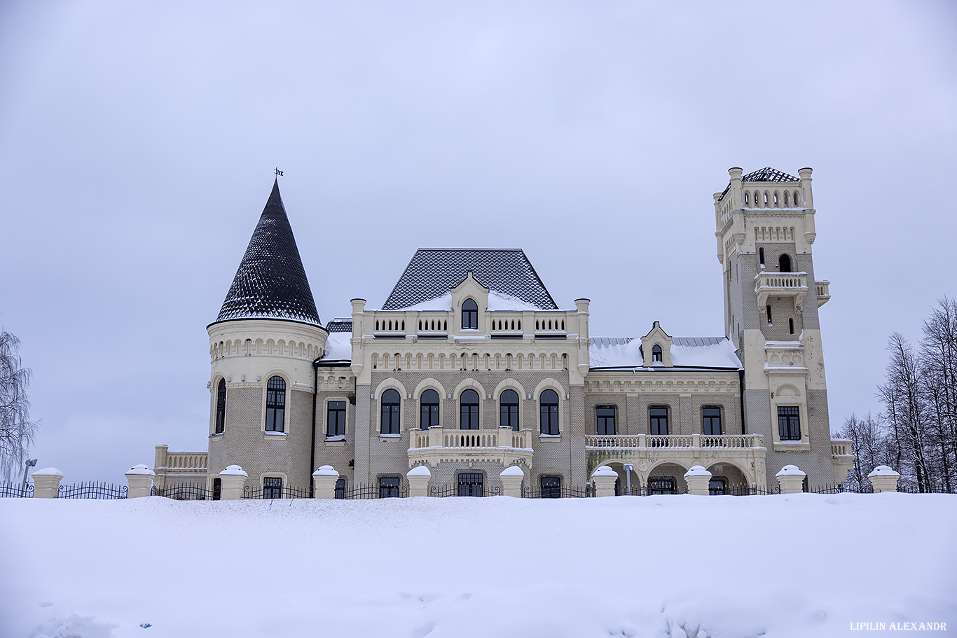 Замок купца Понизовкина