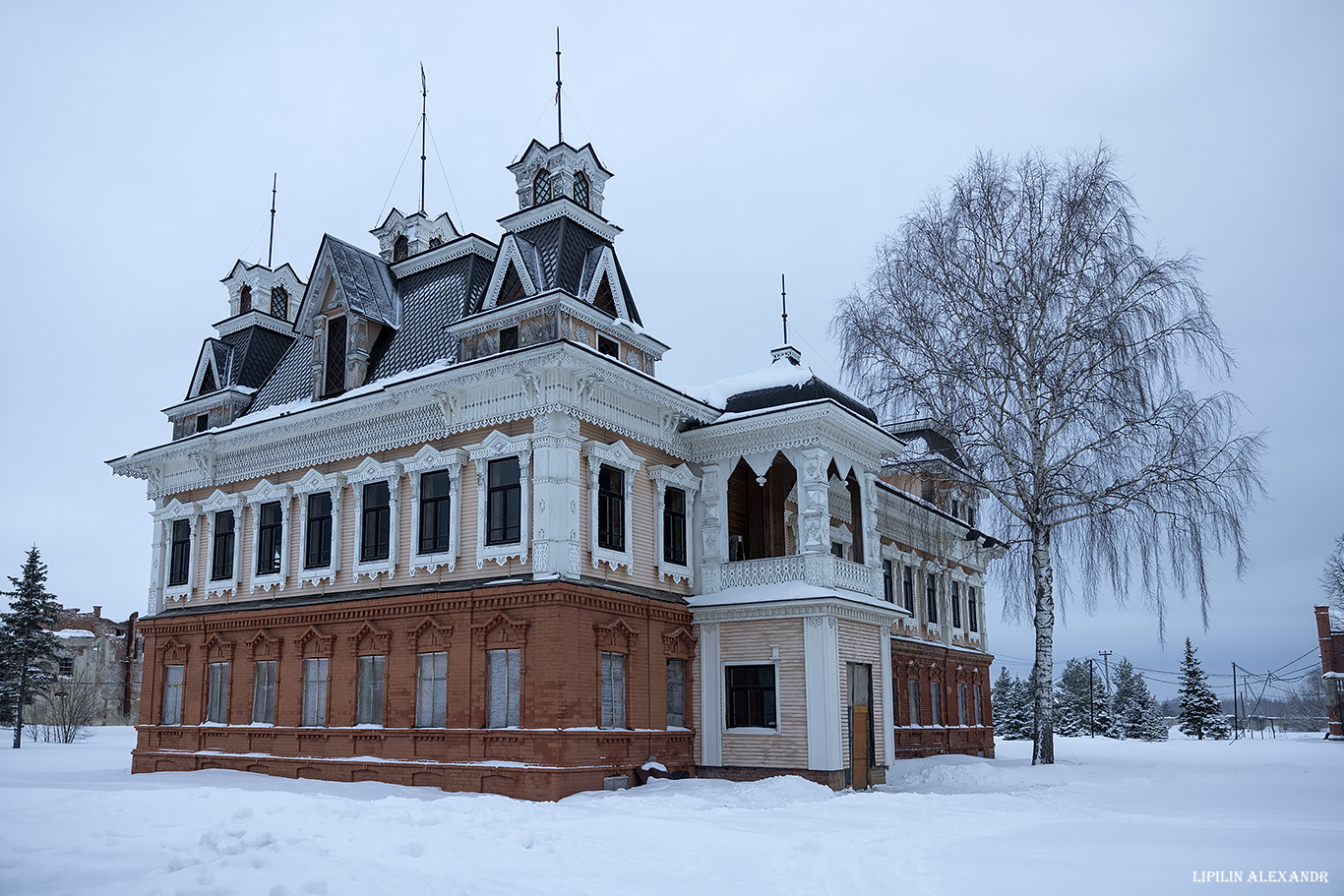 Замок купца Понизовкина