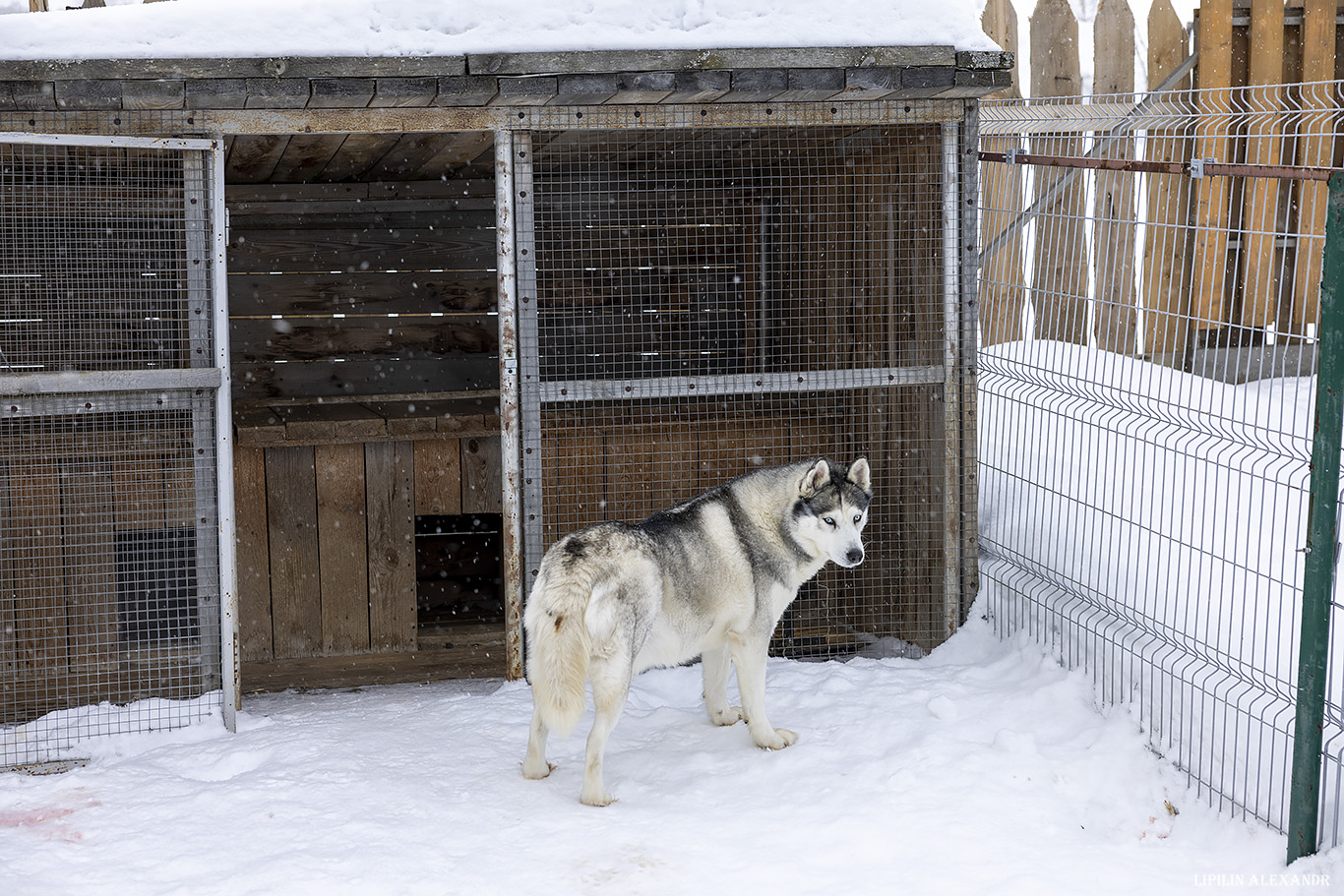 Щурово городище - Горячие ключи