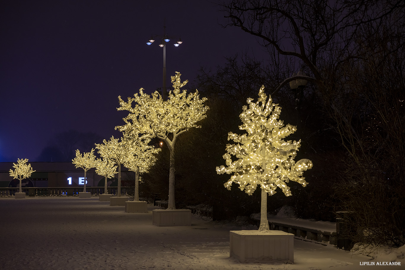 Парк Горького