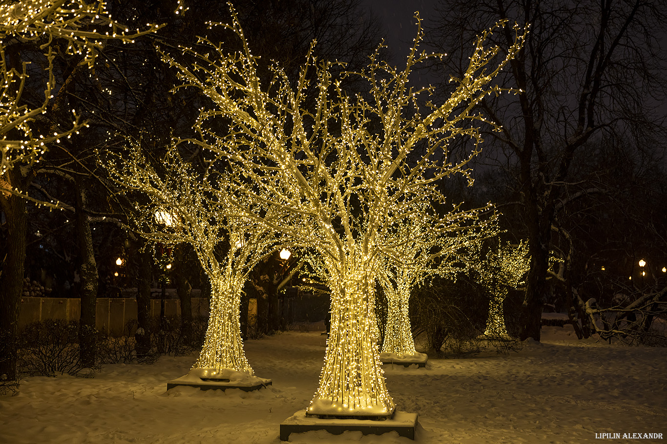 Парк Горького