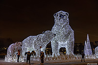 ���� �������