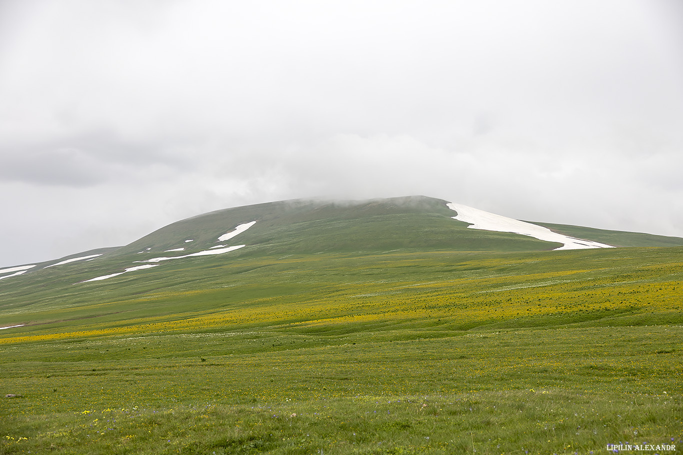 Кордон Кавказский заповедник Лаго-Наки