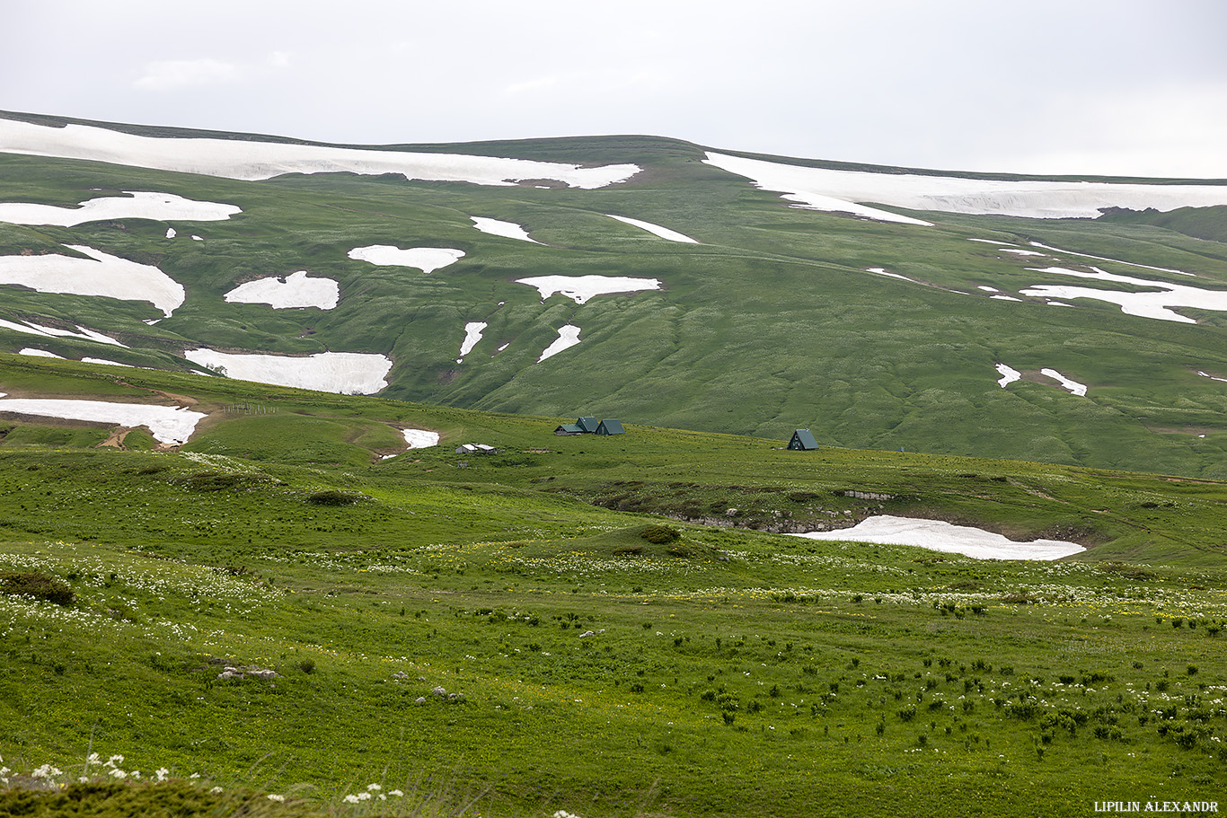 Кордон Кавказский заповедник Лаго-Наки