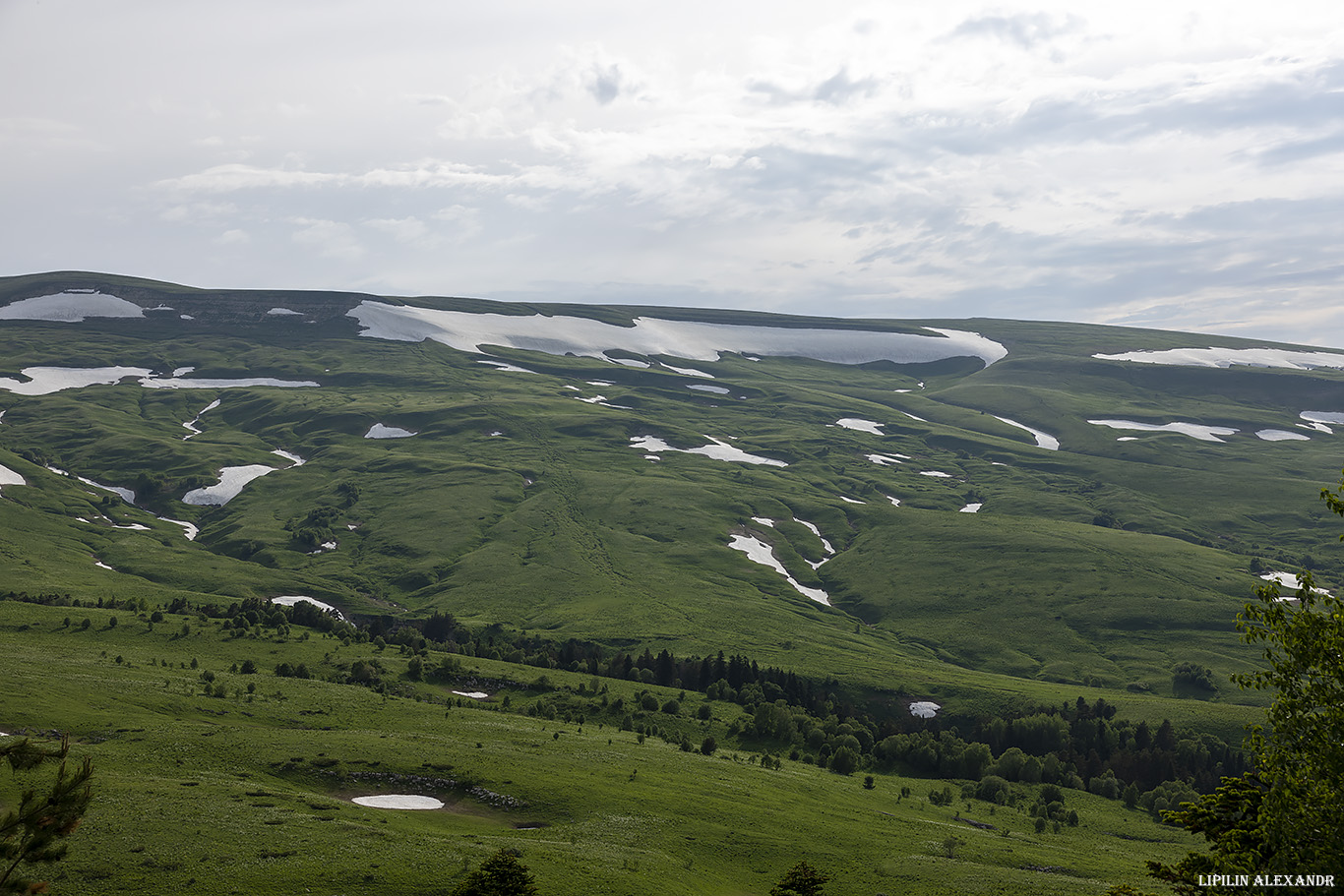 Кордон Кавказский заповедник Лаго-Наки