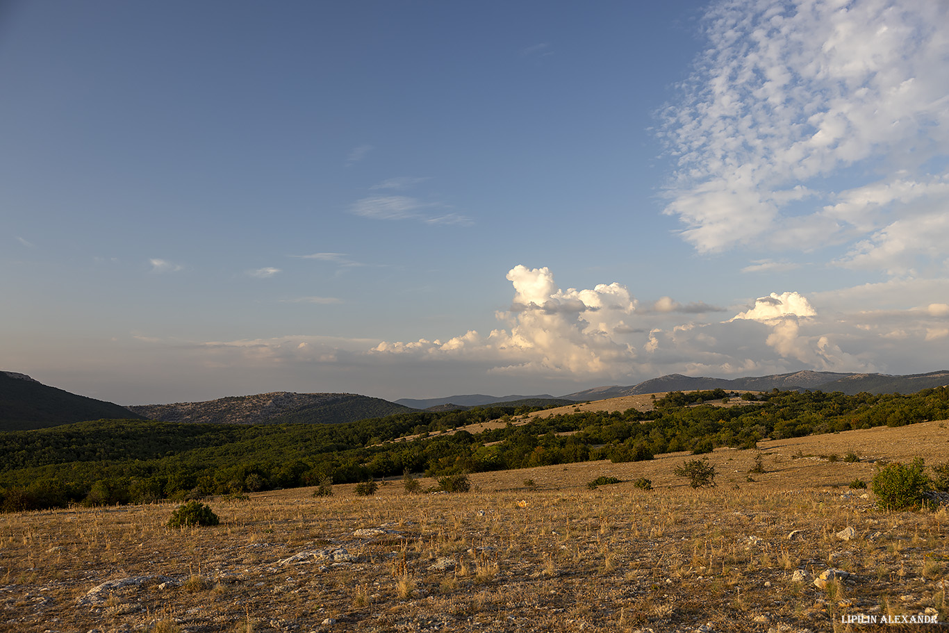 Форосский Кант