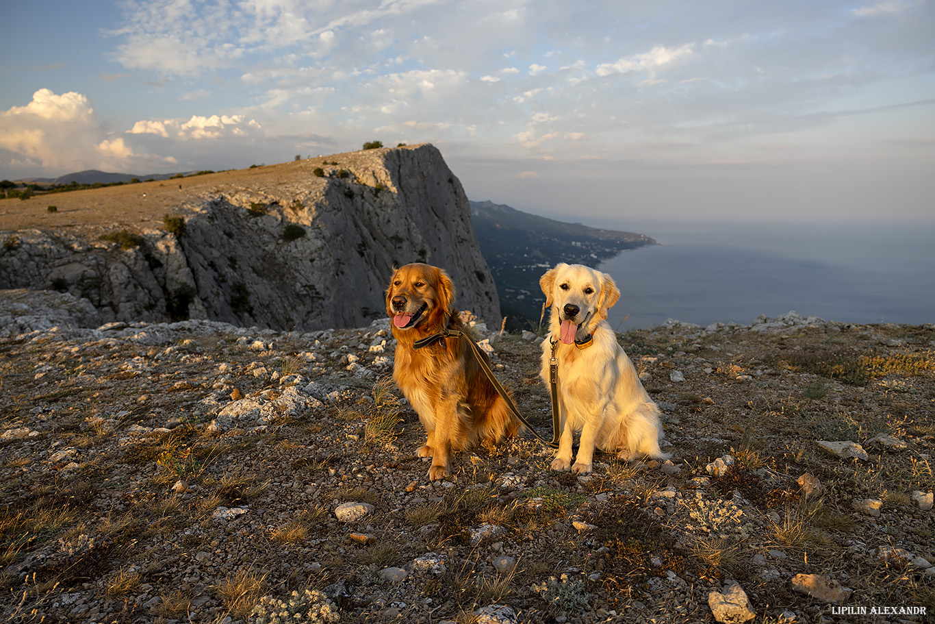 Форосский Кант