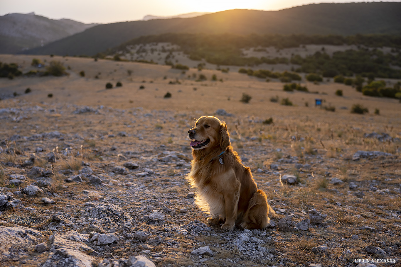 Форосский Кант
