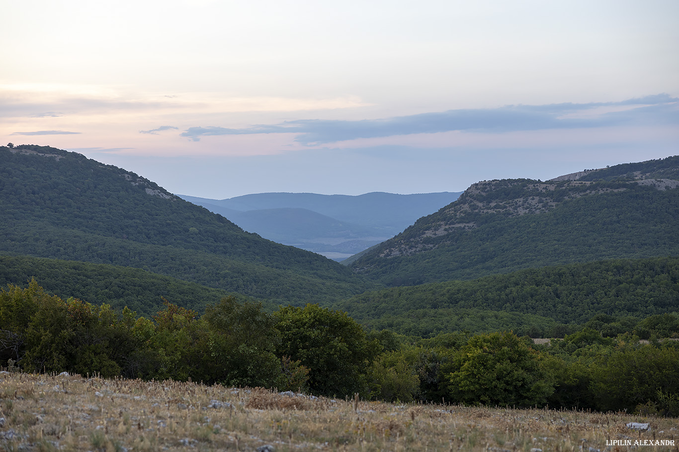 Форосский Кант