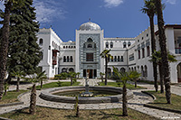 ������ ������