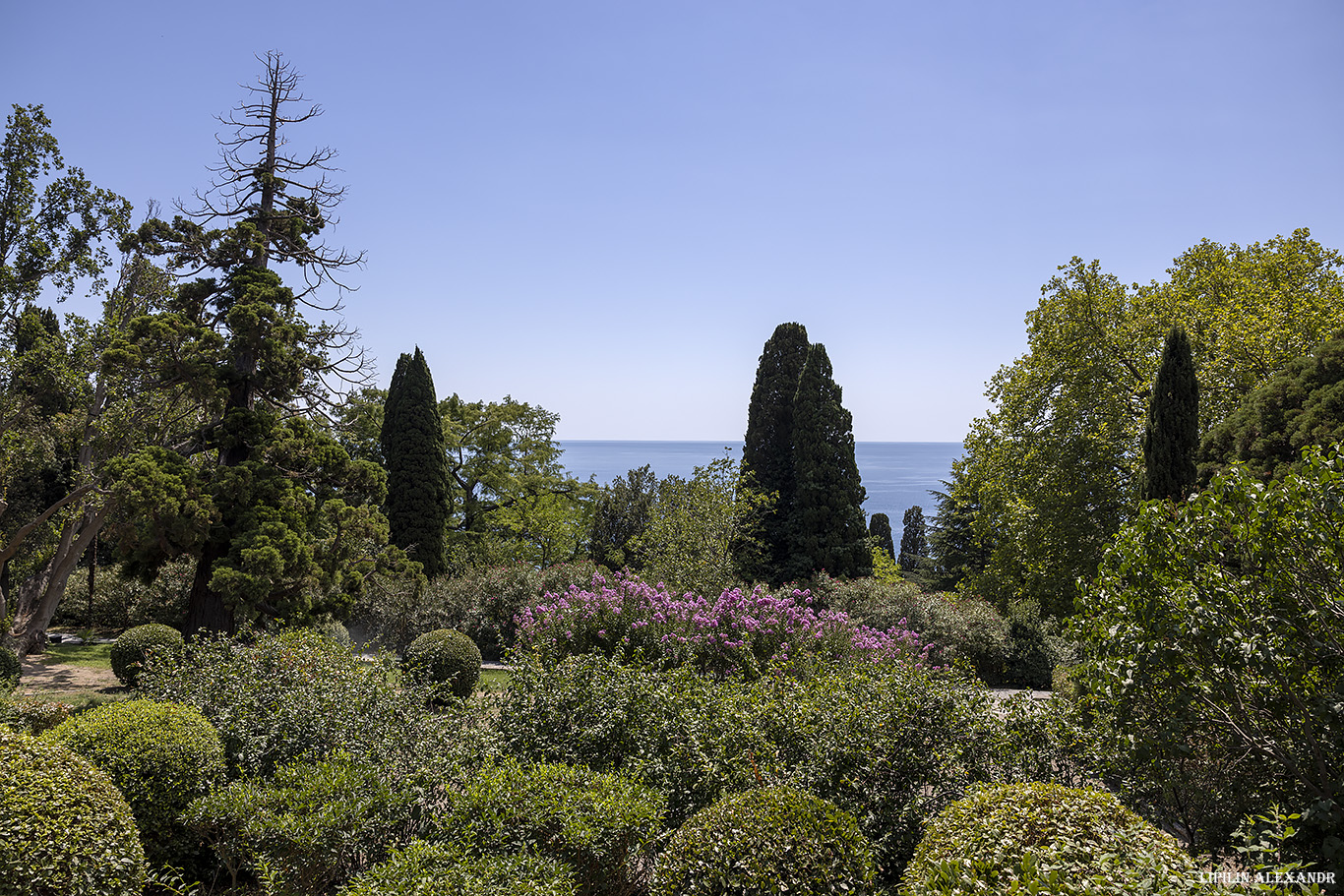 Воронцовский дворец