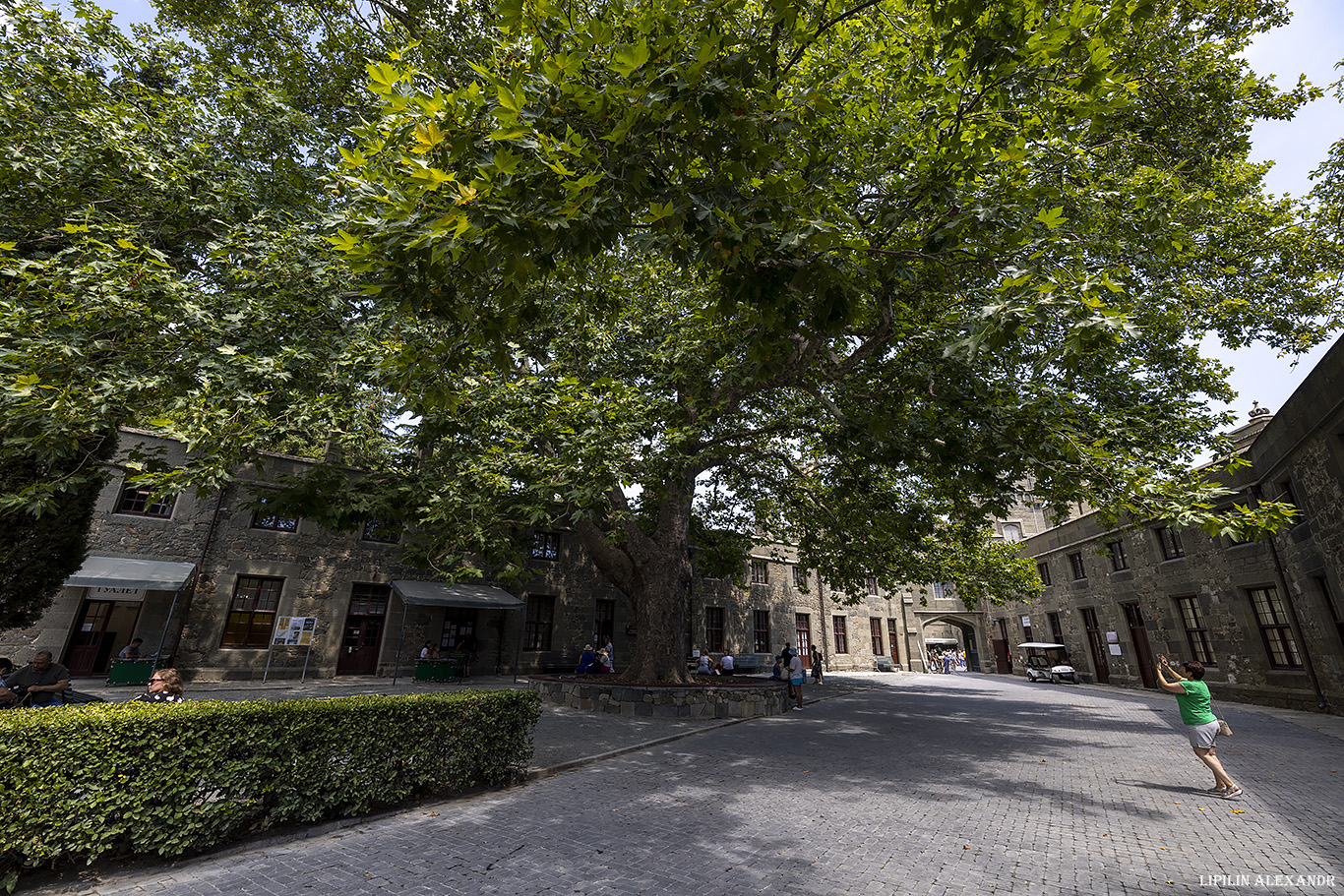 Воронцовский дворец