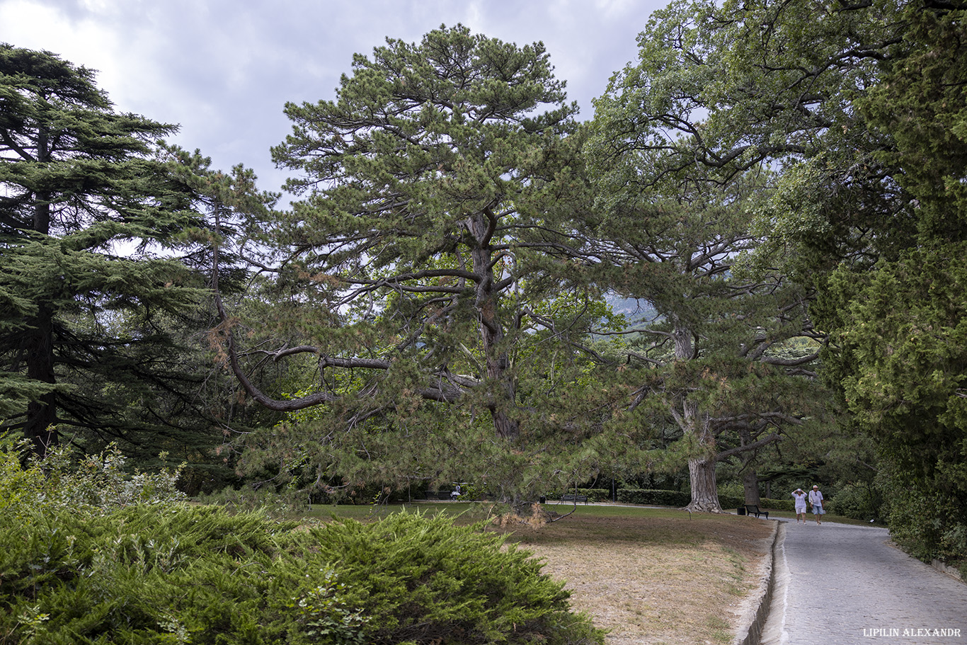Воронцовский дворец