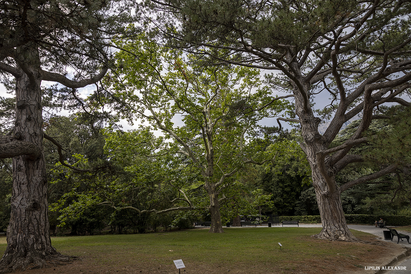 Воронцовский дворец