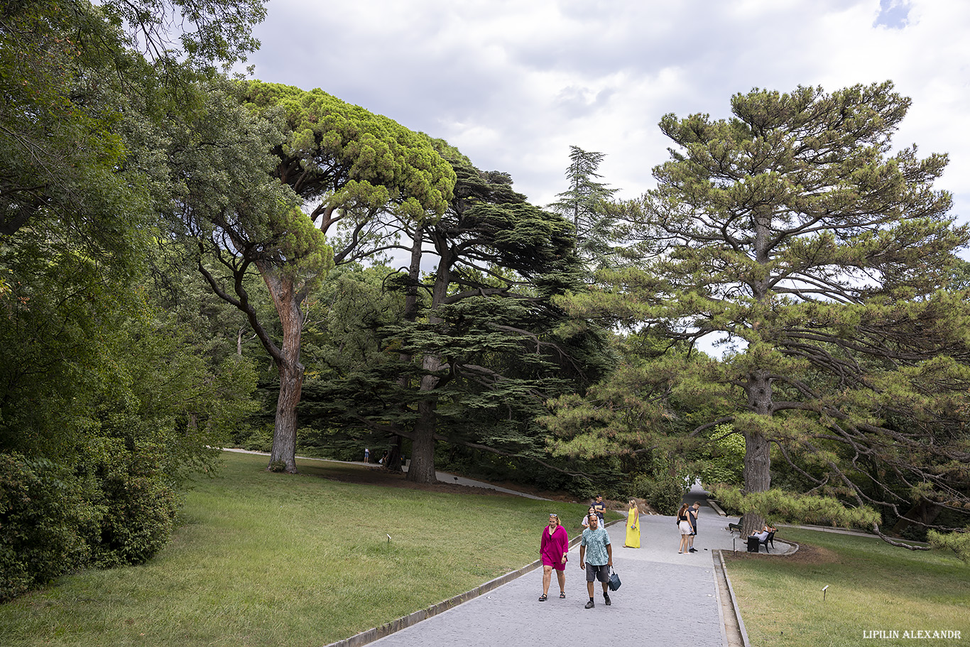 Воронцовский дворец