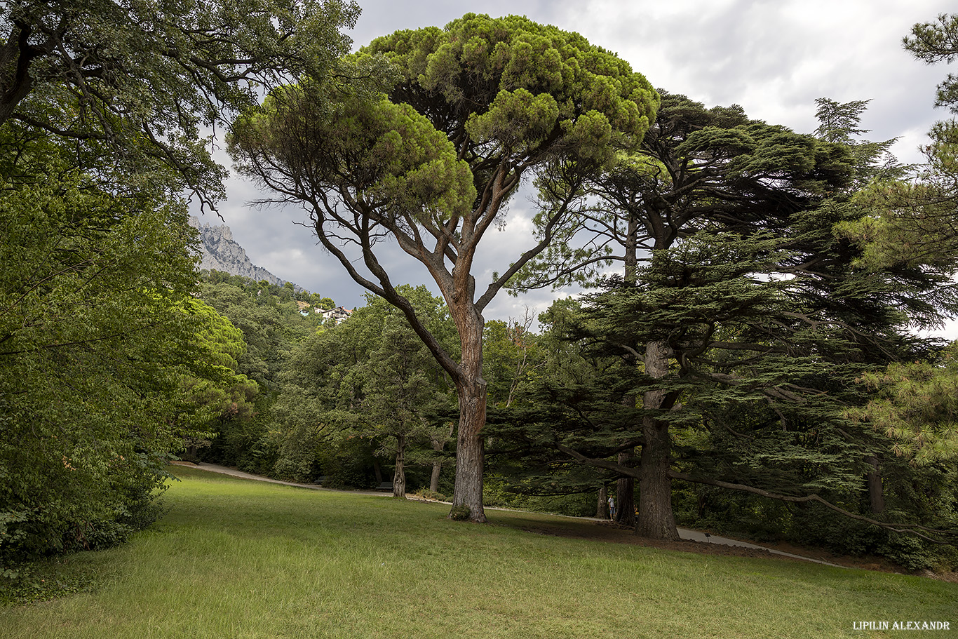 Воронцовский дворец