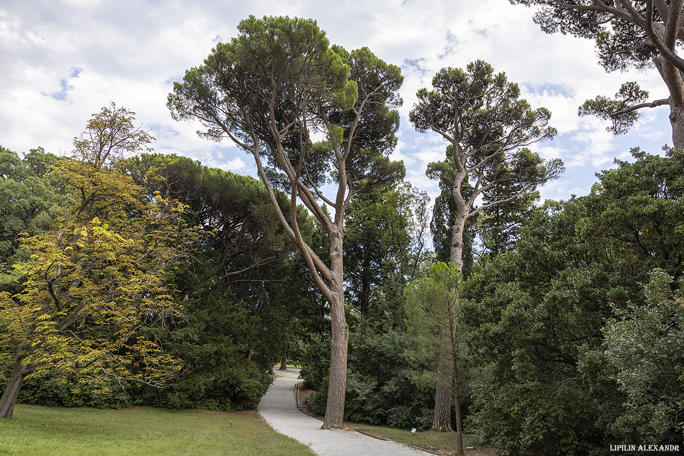 Воронцовский дворец