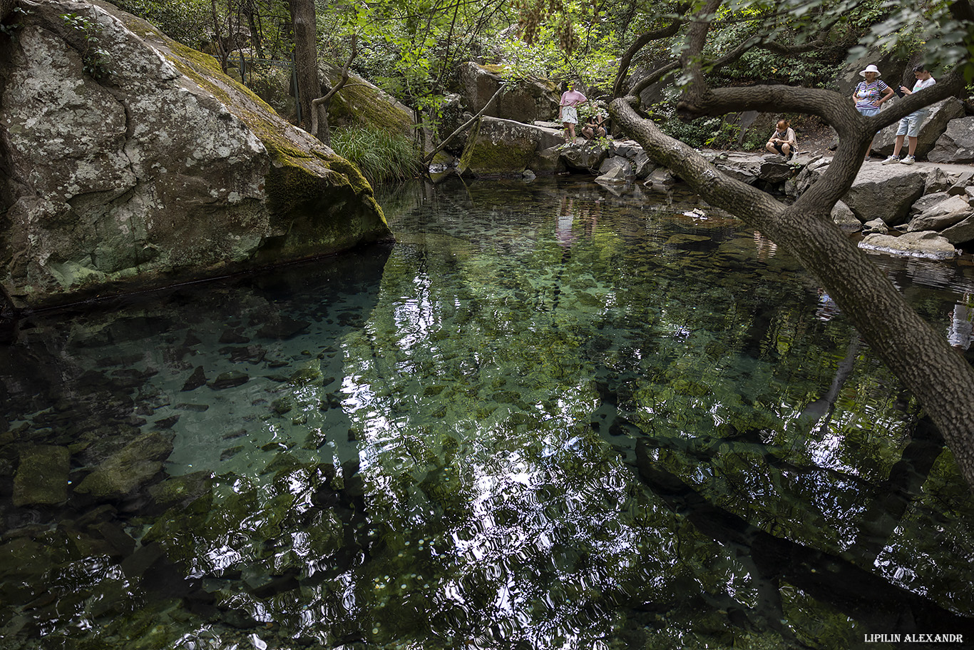 Воронцовский дворец