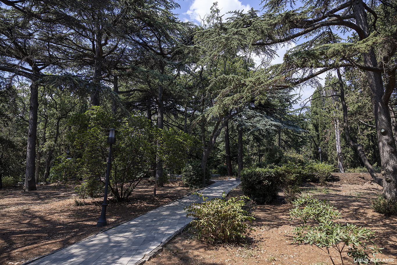 Дворец Харакс