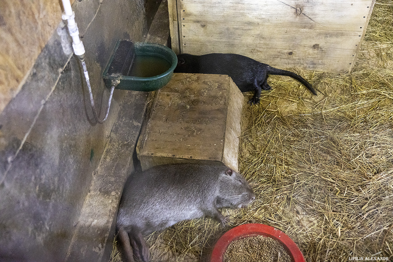 Истринская сыроварня Олега Сироты