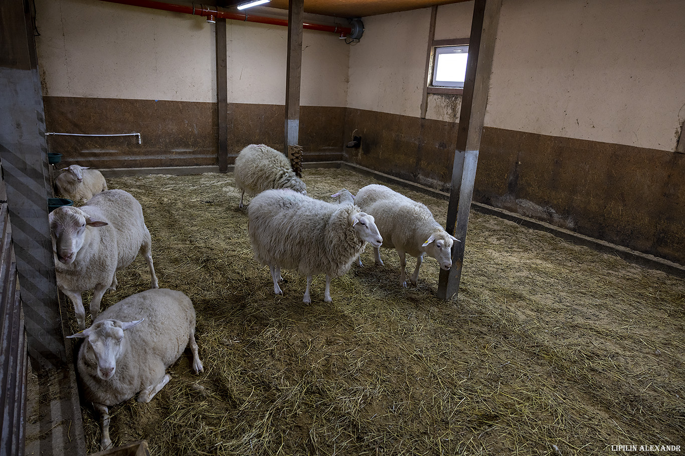 Истринская сыроварня Олега Сироты