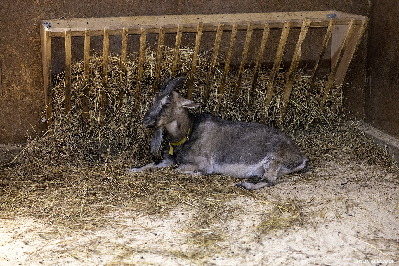 Истринская сыроварня Олега Сироты