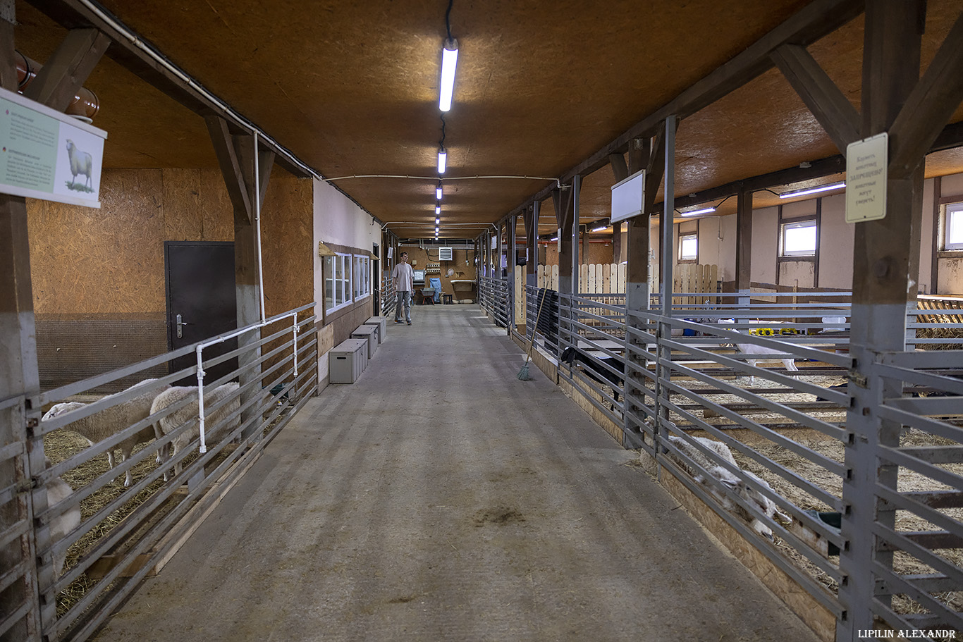 Истринская сыроварня Олега Сироты