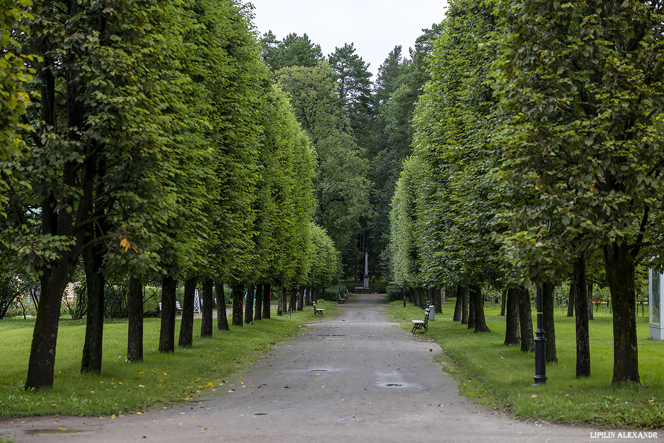 Музей-заповедник Архангельское