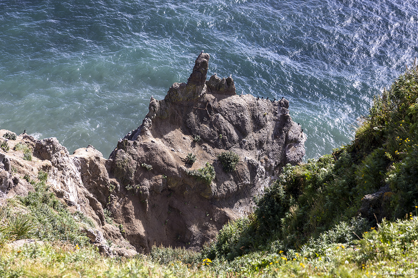 Мыс Маячный